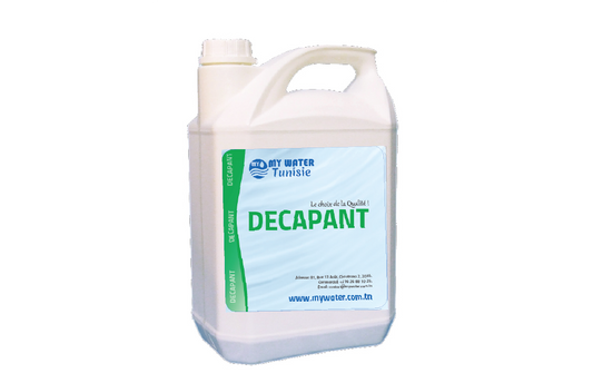 DECAPANT PICINE 5L